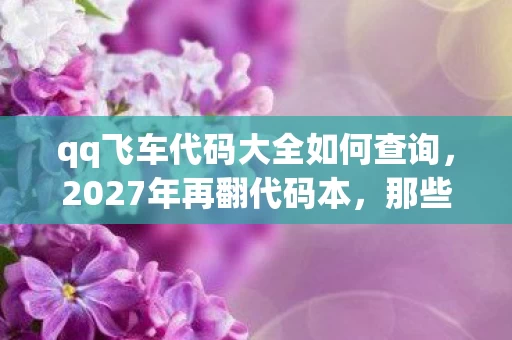qq飞车代码大全如何查询，2027年再翻代码本，那些年陪你刷图的TA，如今让鼻子一酸