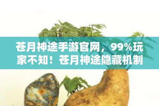 苍月神途手游官网，99%玩家不知！苍月神途隐藏机制曝光，一夜逆袭成神竟如此简单？