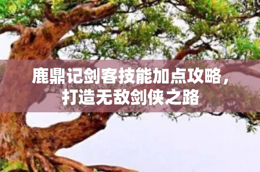 鹿鼎记剑客技能加点攻略图片