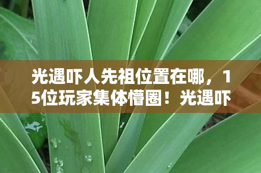 光遇吓人先祖位置在哪，15位玩家集体懵圈！光遇吓人先祖藏哪了？这答案让人绷不住！