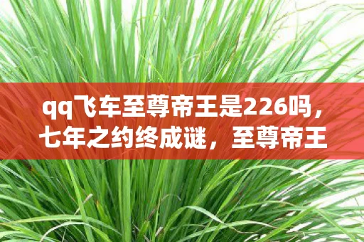 qq飞车至尊帝王是226吗,七年之约终成谜,至尊帝王泪目谢幕,我的飞车青春谁买单? qq飞车至尊帝王是226吗,七年之约终成谜,至尊帝王泪目谢幕,我的飞车青春谁买单?