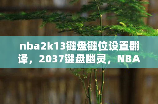 nba2k13键盘键位设置翻译,2037键盘幽灵,NBA2K13设置表里的血色密码与消失的冠军 nba2k13键盘键位设置翻译,2037键盘幽灵,NBA2K13设置表里的血色密码与消失的冠军