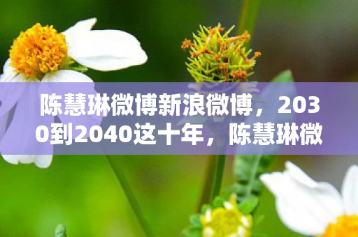 陈慧琳微博新浪微博，2030到2040这十年，陈慧琳微博暗藏的游戏人生竟如此震撼！