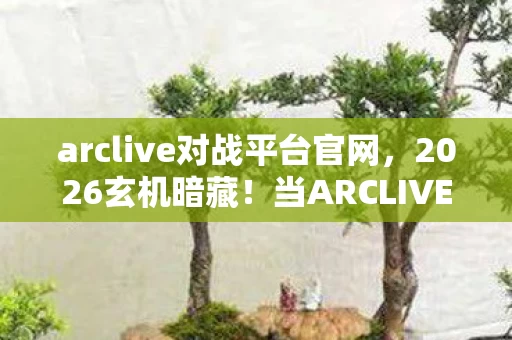 arclive对战平台官网,2026玄机暗藏!当ARCLIVE的沉默键按下,我究竟失去了什么? arclive对战平台官网,2026玄机暗藏!当ARCLIVE的沉默键按下,我究竟失去了什么?