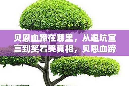 贝恩血蹄在哪里,从退坑宣言到笑着哭真相,贝恩血蹄的落差,谁懂啊! 贝恩血蹄在哪里,从退坑宣言到笑着哭真相,贝恩血蹄的落差,谁懂啊!