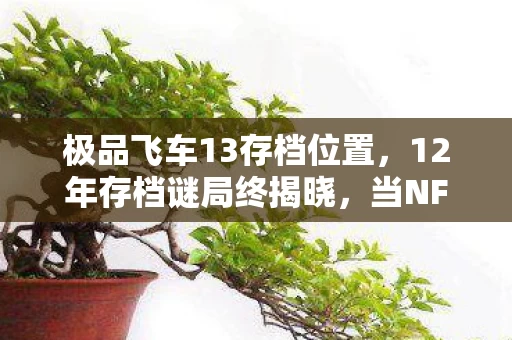 极品飞车13存档位置，12年存档谜局终揭晓，当NFS13服务器亮起最后倒计时，泪目了