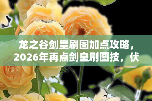 龙之谷剑皇刷图加点攻略,2026年再点剑皇刷图技,伏笔藏旧梦,鼻子一酸忆往昔 龙之谷剑皇刷图加点攻略,2026年再点剑皇刷图技,伏笔藏旧梦,鼻子一酸忆往昔