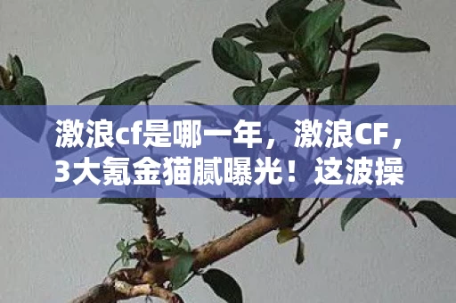 激浪cf是哪一年，激浪CF，3大氪金猫腻曝光！这波操作让百万玩家集体上头又上当