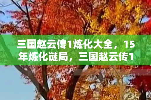 三国赵云传1炼化大全,15年炼化谜局,三国赵云传1的武器库里,藏着多少玩家的泪目青春? 三国赵云传1炼化大全,15年炼化谜局,三国赵云传1的武器库里,藏着多少玩家的泪目青春?