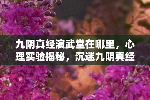 九阴真经演武堂在哪里，心理实验揭秘，沉迷九阴真经演武的细思极恐自我麻醉