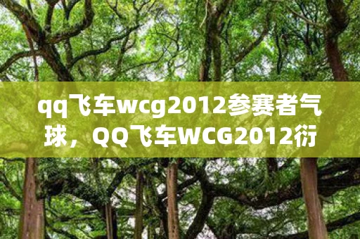 qq飞车wcg2012参赛者气球，QQ飞车WCG2012衍生数破圈！10年收藏狂想曲，意想不到的败家人生