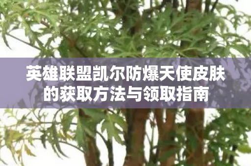 英雄联盟凯尔防爆天使皮肤的获取方法与领取指南图片
