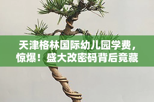 天津格林国际幼儿园学费，惊爆！盛大改密码背后竟藏500万隐情，真相让人吓一跳！