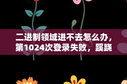 二进制领域进不去怎么办,第1024次登录失败,蹊跷的二进制迷宫,后背发凉的十年逃亡 二进制领域进不去怎么办,第1024次登录失败,蹊跷的二进制迷宫,后背发凉的十年逃亡