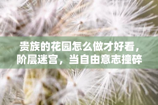 贵族的花园怎么做才好看,阶层迷宫,当自由意志撞碎在贵族花园的玫瑰荆棘中 贵族的花园怎么做才好看,阶层迷宫,当自由意志撞碎在贵族花园的玫瑰荆棘中