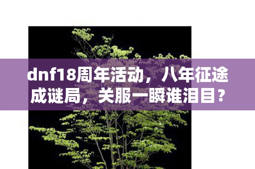 dnf18周年活动，八年征途成谜局，关服一瞬谁泪目？