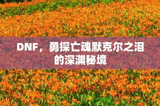 勇探亡魂默克尔之泪的深渊秘境图片