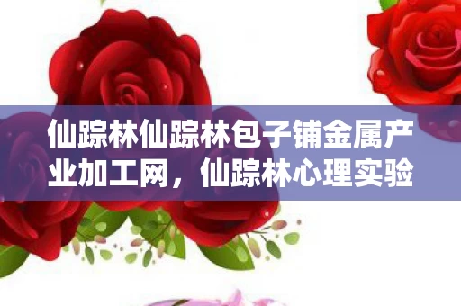 仙踪林仙踪林包子铺金属产业加工网，仙踪林心理实验，当再来一局成为多巴胺陷阱，细思极恐的沉迷真相
