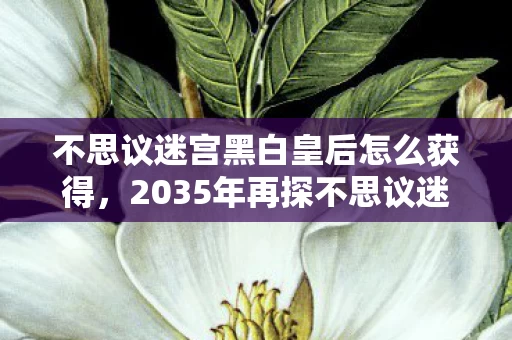 不思议迷宫黑白皇后怎么获得,2035年再探不思议迷宫,黑白皇后的千年棋局,藏着怎样的惊天秘密? 不思议迷宫黑白皇后怎么获得,2035年再探不思议迷宫,黑白皇后的千年棋局,藏着怎样的惊天秘密?