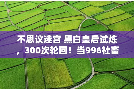 不思议迷宫 黑白皇后试炼,300次轮回!当996社畜遇上不思议迷宫黑白皇后,泪目真相 不思议迷宫 黑白皇后试炼,300次轮回!当996社畜遇上不思议迷宫黑白皇后,泪目真相