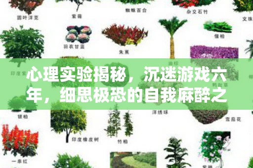 心理实验揭秘，沉迷游戏六年，细思极恐的自我麻醉之旅