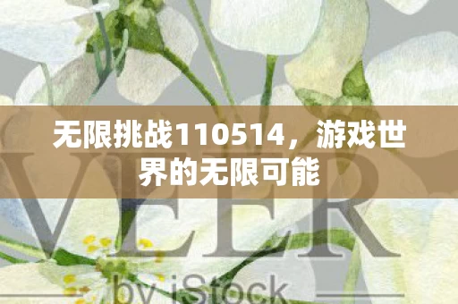无限挑战110514图片