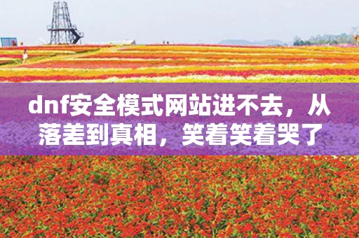 dnf安全模式网站进不去,从落差到真相,笑着笑着哭了,DNF安全模式竟成最后温柔? dnf安全模式网站进不去,从落差到真相,笑着笑着哭了,DNF安全模式竟成最后温柔?