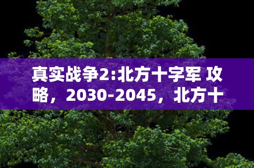 真实战争2:北方十字军 攻略,2030-2045,北方十字军15年征伐,隐藏着怎样的惊天秘密? 真实战争2:北方十字军 攻略,2030-2045,北方十字军15年征伐,隐藏着怎样的惊天秘密?