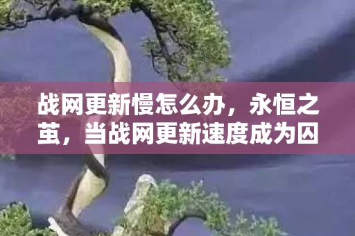 战网更新慢怎么办,永恒之茧,当战网更新速度成为囚禁灵魂的悖论级自由 战网更新慢怎么办,永恒之茧,当战网更新速度成为囚禁灵魂的悖论级自由