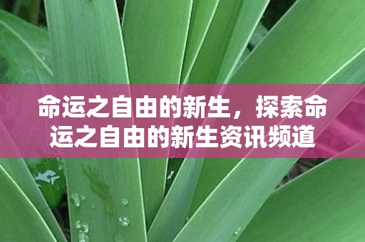 探索命运之自由的新生资讯频道图片
