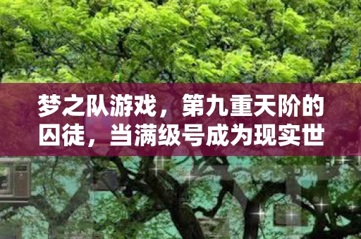 梦之队游戏，第九重天阶的囚徒，当满级号成为现实世界的逃生舱