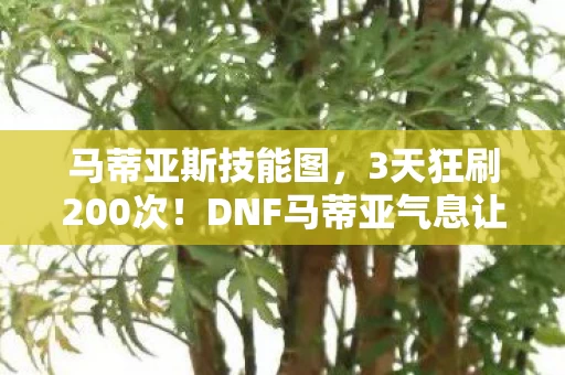 马蒂亚斯技能图,3天狂刷200次!DNF马蒂亚气息让我体验到欧皇的极致快乐 马蒂亚斯技能图,3天狂刷200次!DNF马蒂亚气息让我体验到欧皇的极致快乐