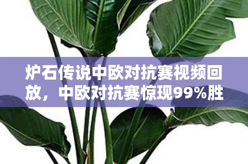 炉石传说中欧对抗赛视频回放,中欧对抗赛惊现99%胜率卡组?策划暗改数值的3大隐秘机制曝光! 炉石传说中欧对抗赛视频回放,中欧对抗赛惊现99%胜率卡组?策划暗改数值的3大隐秘机制曝光!