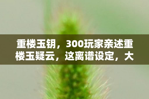 重楼玉钥，300玩家亲述重楼玉疑云，这离谱设定，大神都绷不住了！