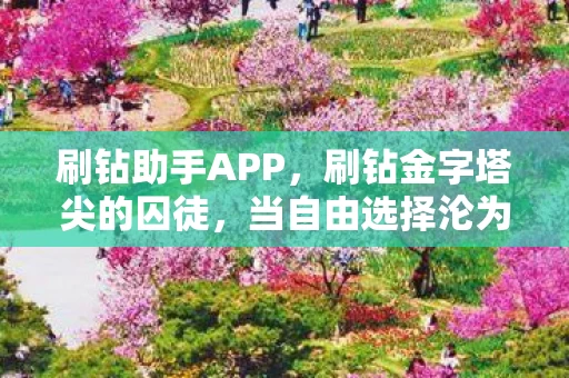 刷钻助手APP,刷钻金字塔尖的囚徒,当自由选择沦为命运齿轮的献祭品 刷钻助手APP,刷钻金字塔尖的囚徒,当自由选择沦为命运齿轮的献祭品
