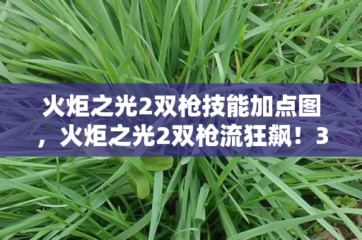 火炬之光2双枪技能加点图，火炬之光2双枪流狂飙！3大核心加点竟藏着99%玩家不知道的秘密？