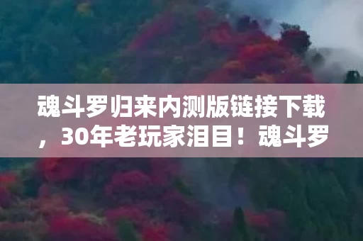魂斗罗归来内测版链接下载,30年老玩家泪目!魂斗罗归来内测,谁才是那个被时代抛弃的魂斗罗? 魂斗罗归来内测版链接下载,30年老玩家泪目!魂斗罗归来内测,谁才是那个被时代抛弃的魂斗罗?
