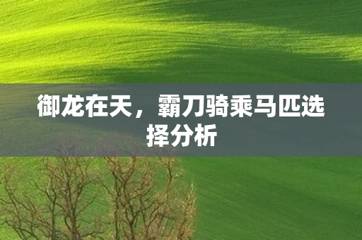 霸刀骑乘马匹选择分析图片