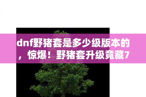 dnf野猪套是多少级版本的,惊爆!野猪套升级竟藏7大玄机,制作组这波操作让玩家集体破防! dnf野猪套是多少级版本的,惊爆!野猪套升级竟藏7大玄机,制作组这波操作让玩家集体破防!