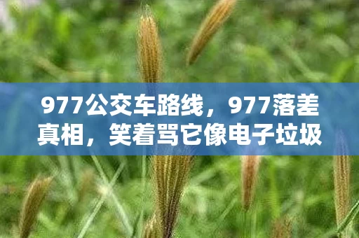 977公交车路线,977落差真相,笑着骂它像电子垃圾,笑着笑着就哭了 977公交车路线,977落差真相,笑着骂它像电子垃圾,笑着笑着就哭了