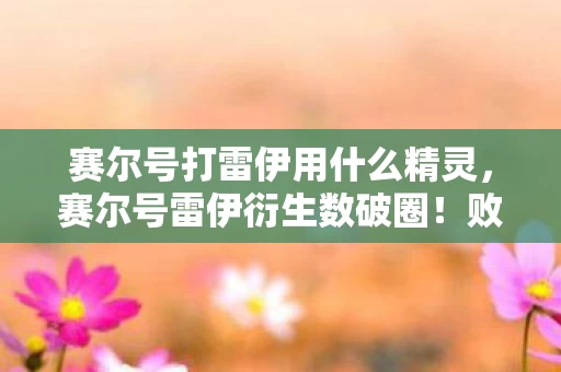 赛尔号打雷伊用什么精灵，赛尔号雷伊衍生数破圈！败家玩家用周边堆出意想不到的二次元人生