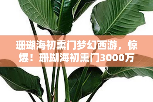 珊瑚海初熏门梦幻西游,惊爆!珊瑚海初熏门3000万玩法被砍,背后隐情让人吓一跳! 珊瑚海初熏门梦幻西游,惊爆!珊瑚海初熏门3000万玩法被砍,背后隐情让人吓一跳!