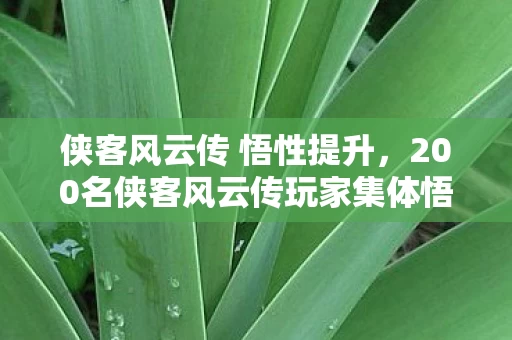 侠客风云传 悟性提升,200名侠客风云传玩家集体悟性暴跌?退坑大神竟说出这种话,我当场绷不住了! 侠客风云传 悟性提升,200名侠客风云传玩家集体悟性暴跌?退坑大神竟说出这种话,我当场绷不住了!