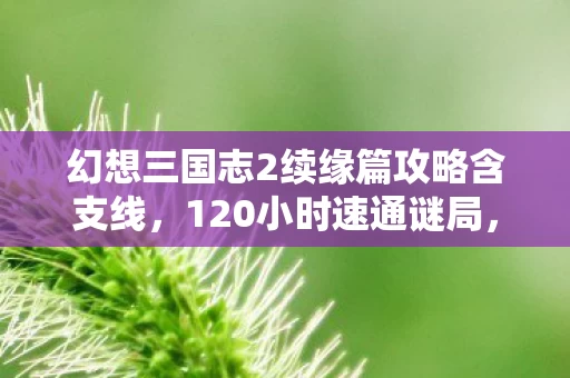 幻想三国志2续缘篇攻略含支线,120小时速通谜局,当续缘篇的永生花凋零时,连泪都蒸发成了数据残渣 幻想三国志2续缘篇攻略含支线,120小时速通谜局,当续缘篇的永生花凋零时,连泪都蒸发成了数据残渣