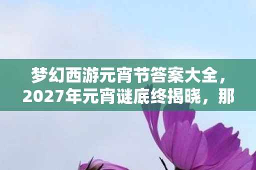 梦幻西游元宵节答案大全,2027年元宵谜底终揭晓,那些伏笔与承诺,让我鼻子一酸 梦幻西游元宵节答案大全,2027年元宵谜底终揭晓,那些伏笔与承诺,让我鼻子一酸