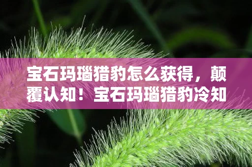 宝石玛瑙猎豹怎么获得,颠覆认知!宝石玛瑙猎豹冷知识大揭秘,让你目瞪口呆! 宝石玛瑙猎豹怎么获得,颠覆认知!宝石玛瑙猎豹冷知识大揭秘,让你目瞪口呆!