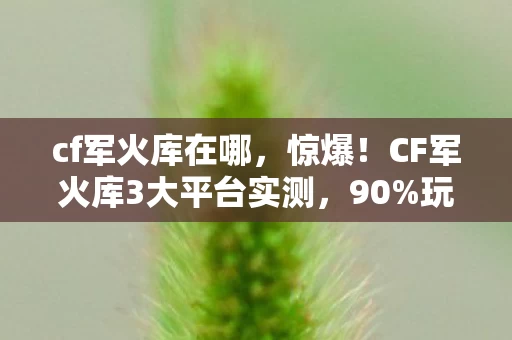 cf军火库在哪，惊爆！CF军火库3大平台实测，90%玩家没发现的操控差异！