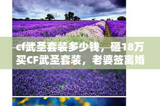 cf武圣套装多少钱，砸18万买CF武圣套装，老婆签离婚协议时我才知家底已空！吓一跳！