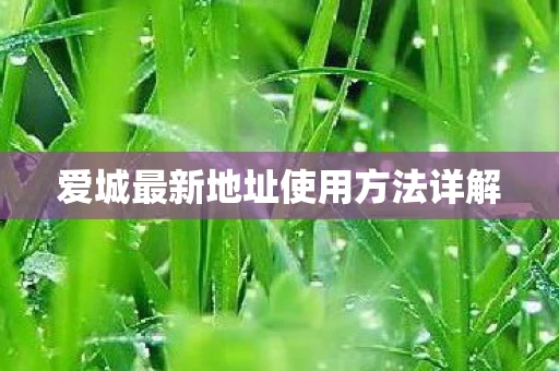 爱城最新地址使用方法详解图片