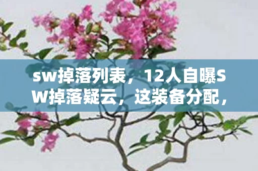 sw掉落列表，12人自曝SW掉落疑云，这装备分配，谁绷得住啊！